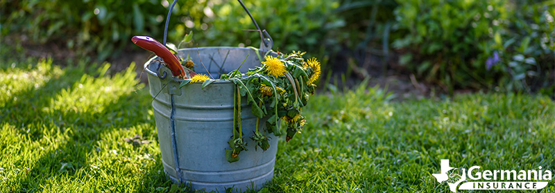 A bucket with weeds removed naturally