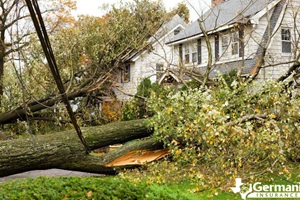 A fallen tree damaging a home after a storm