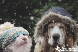 Keeping pets warm during winter