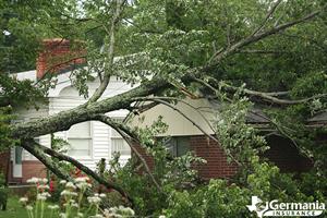 A home damaged by a felled tree
