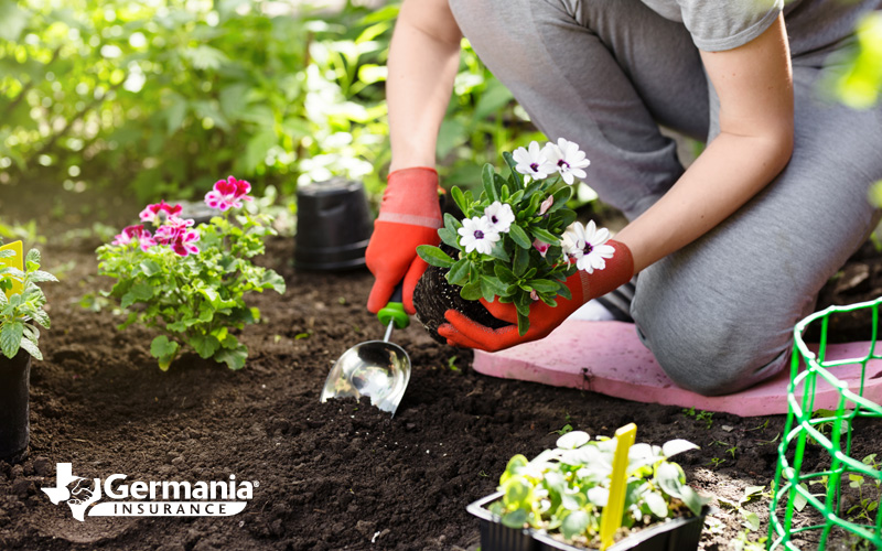 gardening-Blog gardening