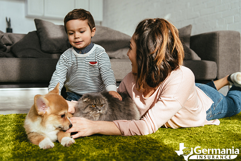 A mother and son with new pets, making them feel at home