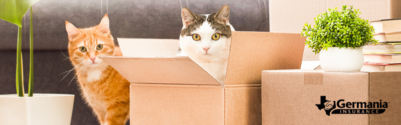 pet-moving-banner pet moving