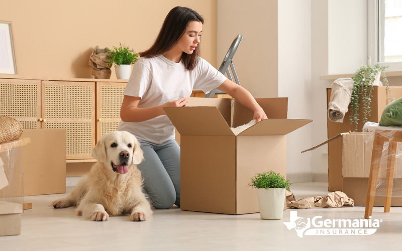 pet moving