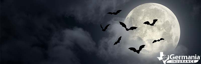 A spooky scene of bats flying against the Texas moon