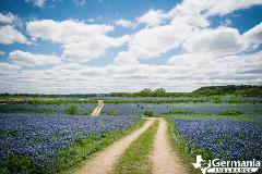 2023 Texas Bluebonnet Roadmap: The 7 best places to see bluebonnets in Texas