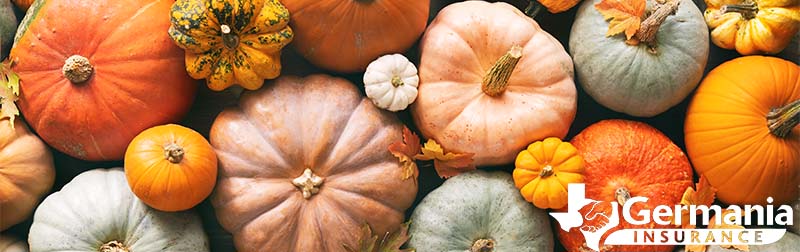 A bunch of pumpkins for fall activities in Texas