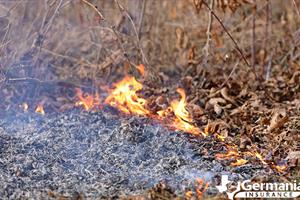 The small flame that causes a wildfire to start and spread.