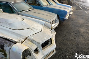 A lot of cars in a salvage lot