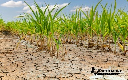 The Impact of Drought on Agriculture: Strategies for Farmers to Adapt and Thrive