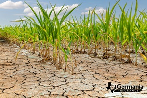texas drought
