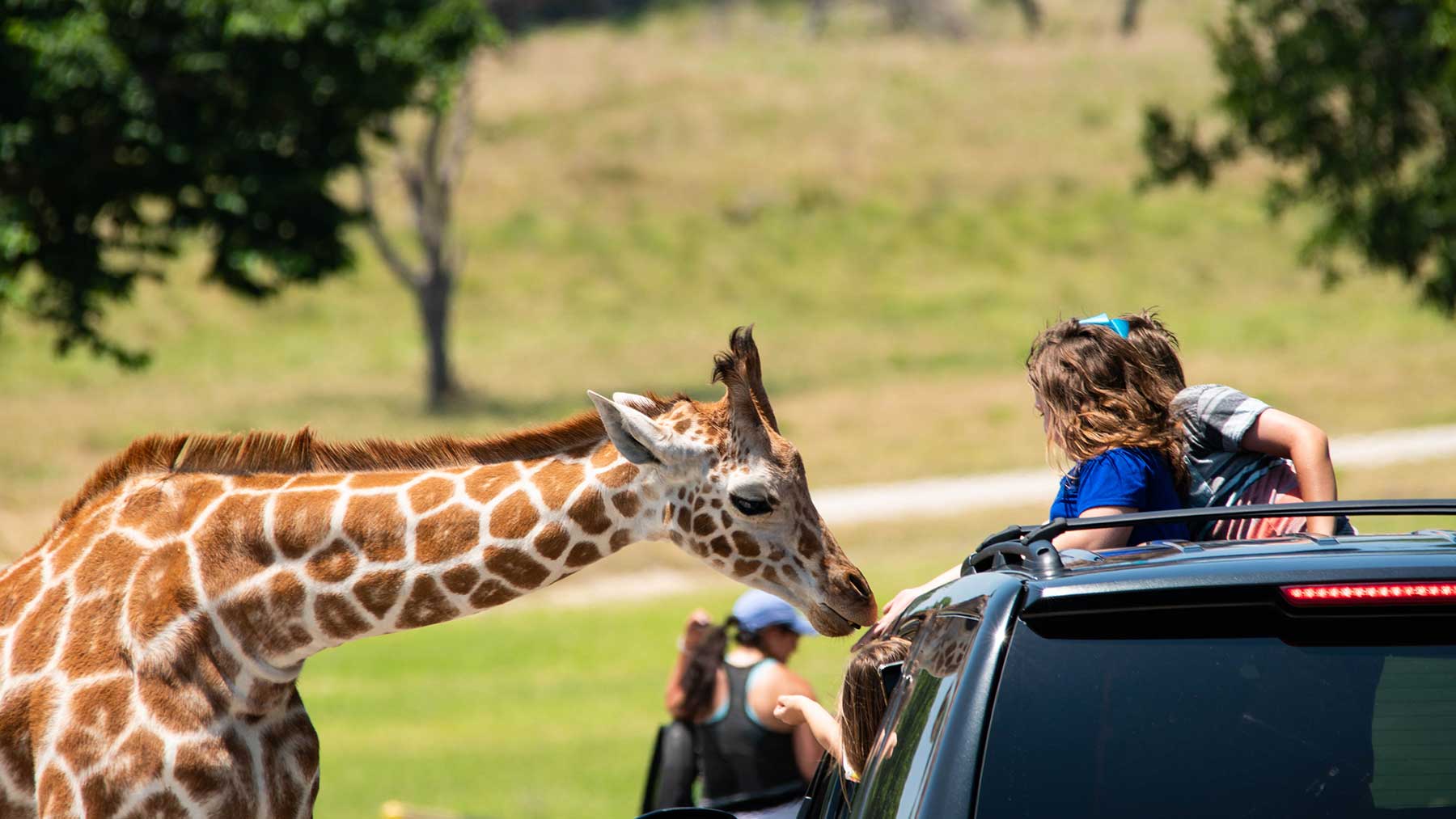 Germania Insurance Fossil Rim Safari Giveaway Official Rules