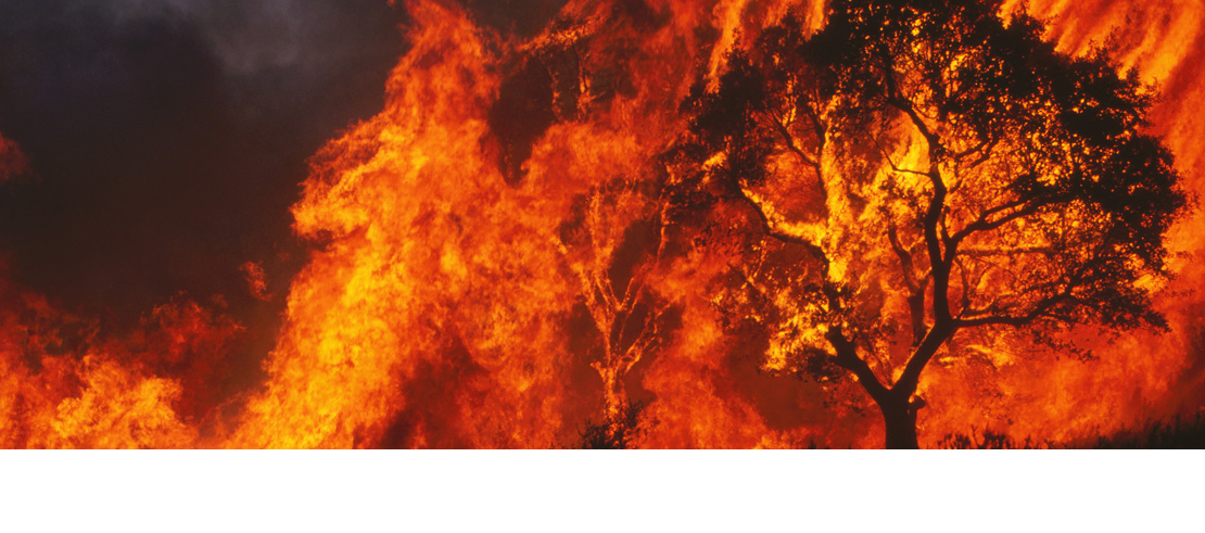 Germania Insurance wildfire preparedness