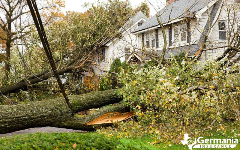 A fallen tree damaging a home after a storm